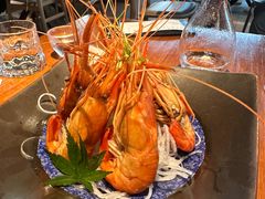 -人间酒暖·Go blanc·烧鸟·深夜食堂(陆家嘴店)