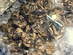 -铭聚章鱼土笋冻(松柏店)