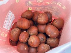 糖炒栗子-阿男野栗王(金门路店)