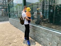-无锡动物园·太湖欢乐园