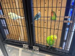 -太湖饭店玉兰厅(自助餐厅)