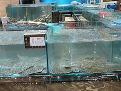 -上和臻品中国菜(花园街店)