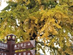 -常熟方塔园