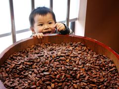 android_upload_pic-歌斐颂巧克力小镇