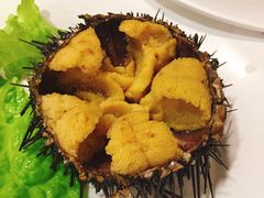 黑海胆-海味当家(西安路店)
