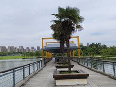 -白塘生态植物园
