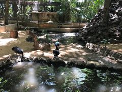 -卡塞拉自然公园