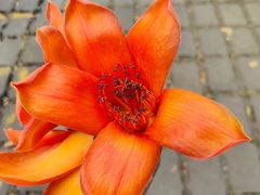 -花都广场