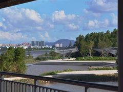 -芒洲湿地公园