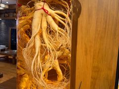 -长寿参鸡汤(朝韩风情街店)