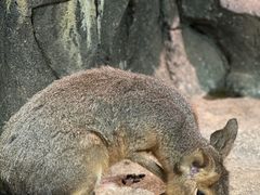 -正佳极地海洋世界
