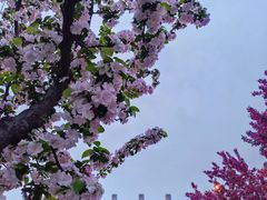 -元大都城垣遗址公园