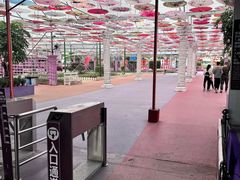 -广东花都香草世界旅游度假区