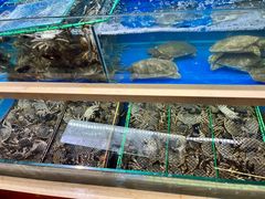 -风暴音乐烧烤串吧