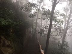 -老界岭旅游度假区