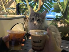 -J Create城市露营咖啡·简餐·宠物(上海动物园店)