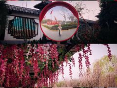 景点-西安汉城湖景区