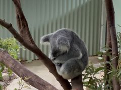 -热带雨林自然公园