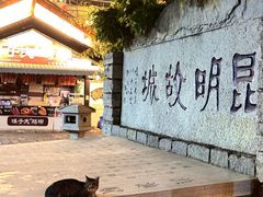 -云南民族村