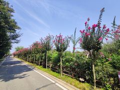 -武汉紫薇都市田园