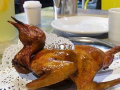 -石岐乳鸽村(南海第三分店)