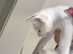 -云上漫足·足疗养生·泡浴SPA