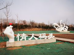 -东郊湿地公园