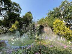 -深圳仙湖植物园