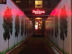 -Pistolera Mexican Cantina女枪手墨西哥餐厅(碧云路店)