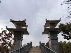 -东湖落雁景区