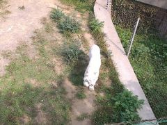 android_upload_pic-石家庄市动物园