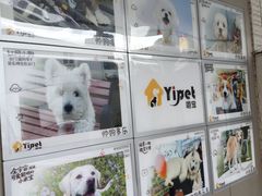 -翊宠yipet猫狗购宠庄园犬舍•猫舍