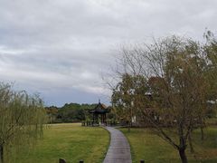 -南湖湿地公园