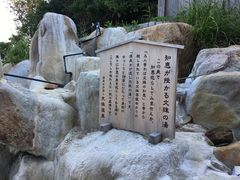 -滨千鸟之汤 海舟