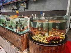 -九號渔港·蒸汽海鲜·粤菜茶点(八卦岭店)