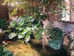 -聚缘堂·海鲜私房菜(松岭路店)