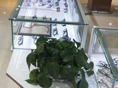 -现代眼镜批发城(威海路店)