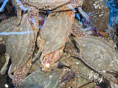 -海鲜e族(马王堆店)