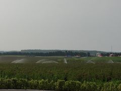 -南京枫彩漫城