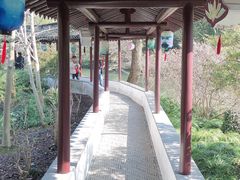 -上海醉白池公园