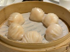 -金粤九号(李公堤店)