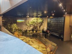 -北京周口店北京人遗址博物馆