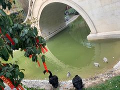-西安曲江寒窑遗址公园
