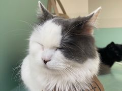 -怪兽屋·羊驼·猫咖·狗咖(俊华广场店)