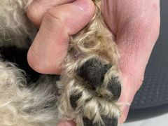 -comecome来吧宠物(奥克斯中心店)