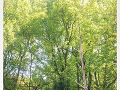 -国生茶庄·地道农家菜团建活动
