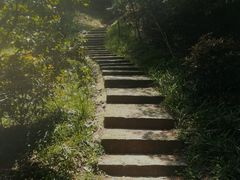 -菊花台公园
