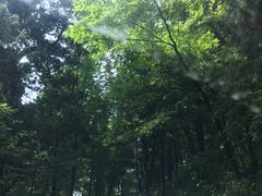 -金堂县云顶石城风景区