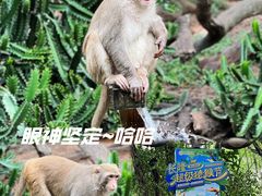 -广州长隆野生动物世界
