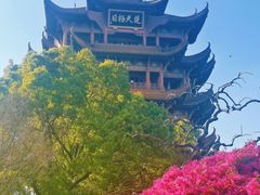 -黄鹤楼公园(黄鹤楼)